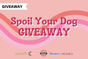 Spoil Your Dog Giveaway!