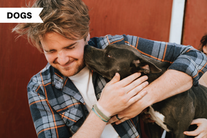 Playing Favorites: How Dogs Choose Their Favorite Person
