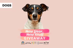 New Year, New Stuff Giveaway
