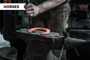 Horseshoes: Is there a problem?
