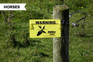 Electric Fencing for Horses - Pros and Cons