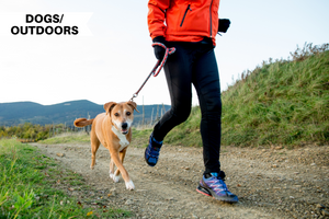 How to Train Your Dogs to Run with You 