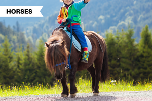 3 Best Pony Breeds for Children