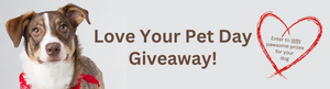 Love Your Pet Giveaway!