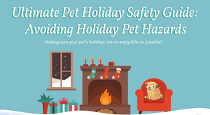Keeping Your Pets Safe All Year Round: An Infographic