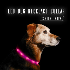 led-dog-necklace-collar