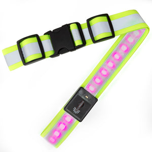 LED Belt 2.0 - 8 Bright LED Colors in One Belt