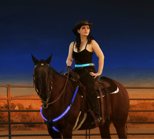 Blue LED Horse Tack