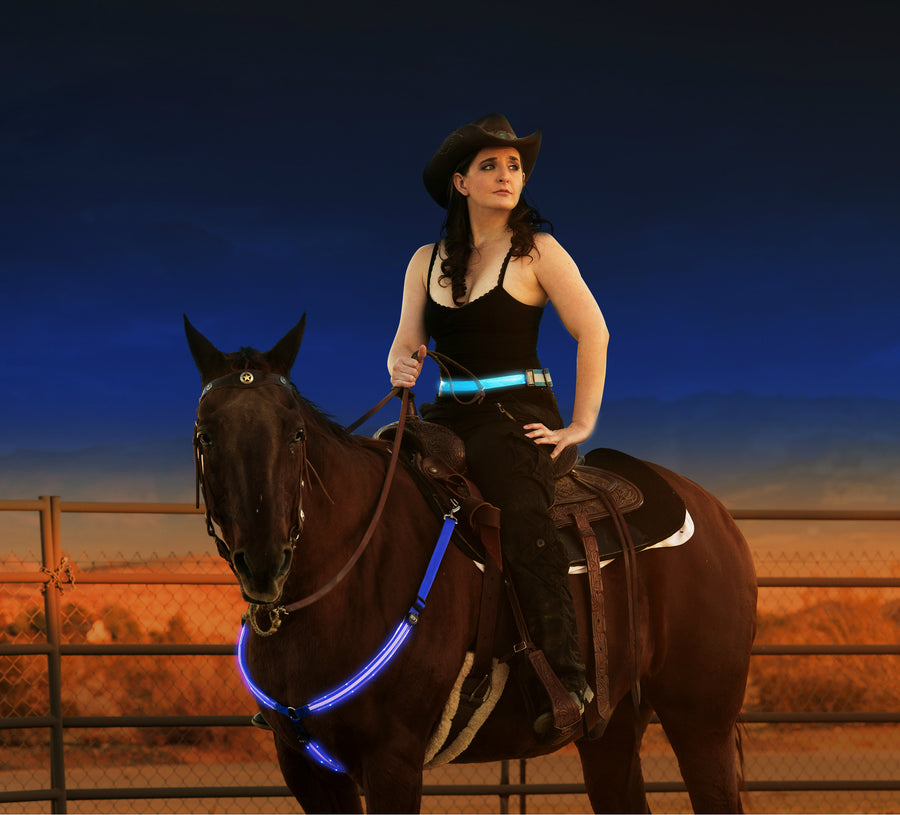 LED Horse Tack