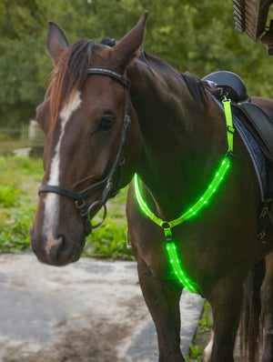 Neon Green