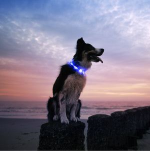 Midnight Blue