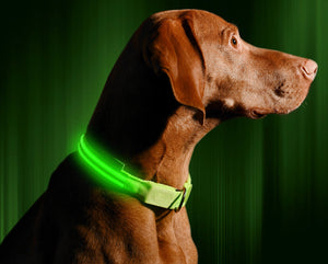 Neon Green