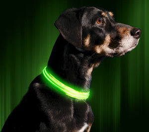 Neon Green