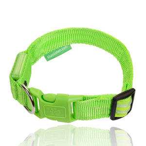 Neon Green