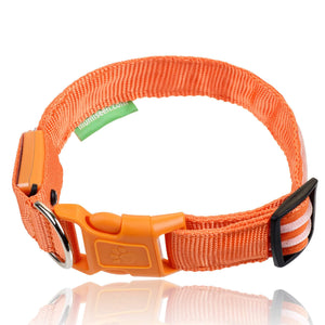 Bright Orange