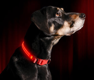 Ruby Red