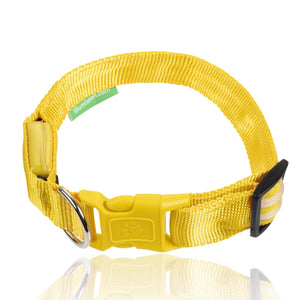 Sunburst Yellow