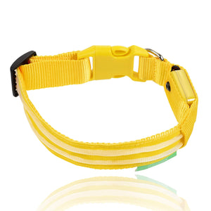 Sunburst Yellow