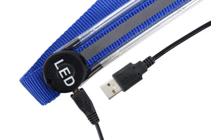 LED Horse Tack