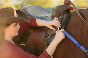 LED Horse Tack
