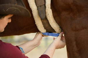 LED Horse Tack