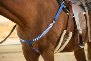 LED Horse Tack