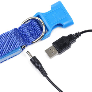 USB Charger Cable For Collar & Leash