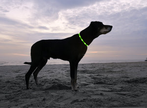 Neon Green