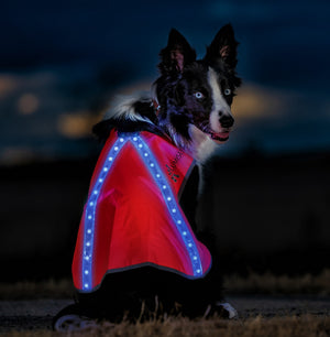 LED Dog Vest 2.0 - 8 Bright LED Colors in One Vest
