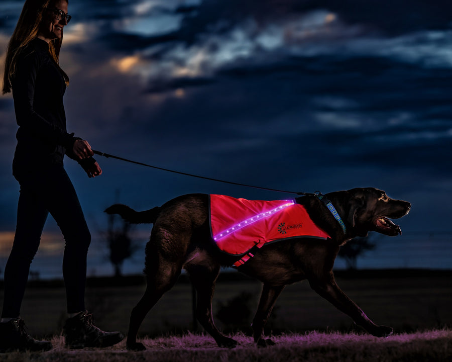 LED Dog Vest 2.0 - 8 Bright LED Colors in One Vest