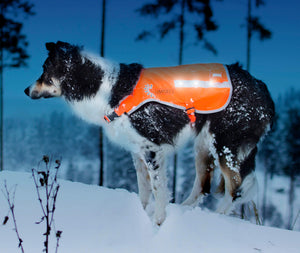 Reflective LED Dog Safety Vest