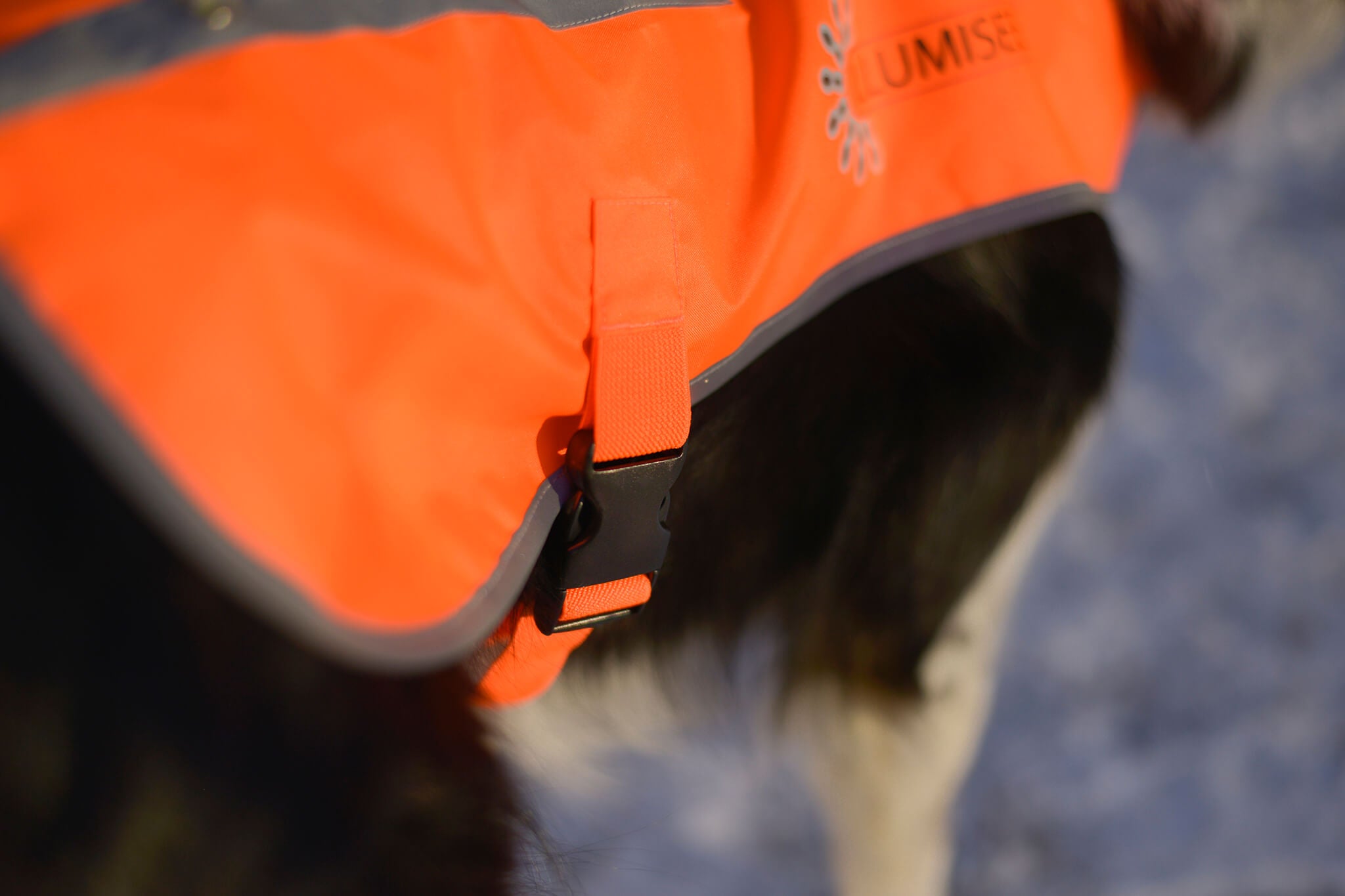 Reflective LED Dog Safety Vest Illumiseen