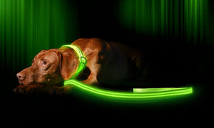 Neon Green
