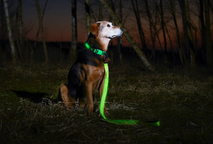 Neon Green