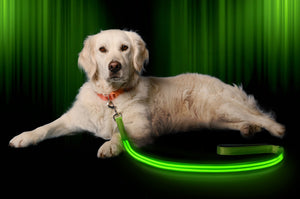 Neon Green
