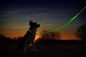 Neon Green