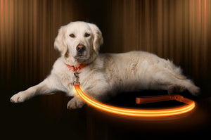 Bright Orange