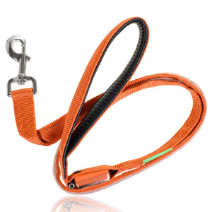 Bright Orange