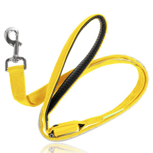 Sunburst Yellow