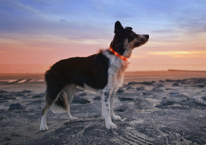 Sunset Orange