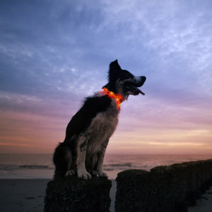 Sunset Orange