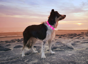 Flamingo Pink
