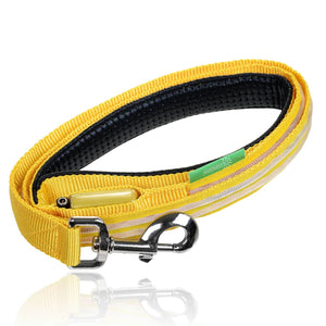 Sunburst Yellow