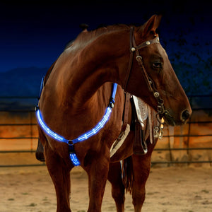 LED Horse Tack