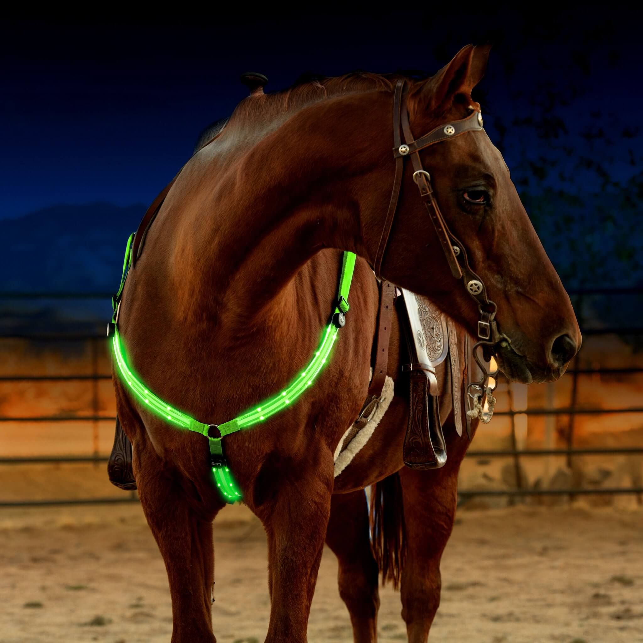 Light Oil Whipstitch Clear and Rosettes One Ear/ Breastcollar 