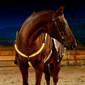 Sunburst Yellow