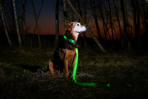Neon Green